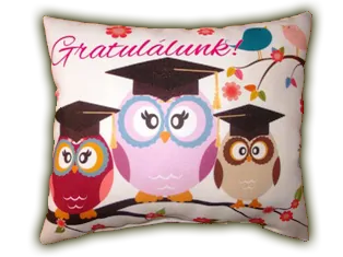 Díszpárna- Gratulálunk,baglyok