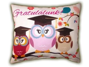 Díszpárna- Gratulálunk,baglyok